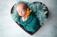 newbornfotografie elburg